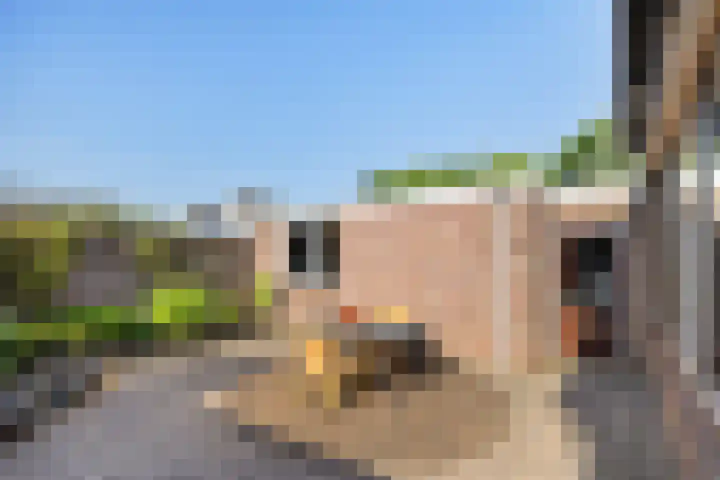 Rooseveltstraat 12 Oss thumbnail 4