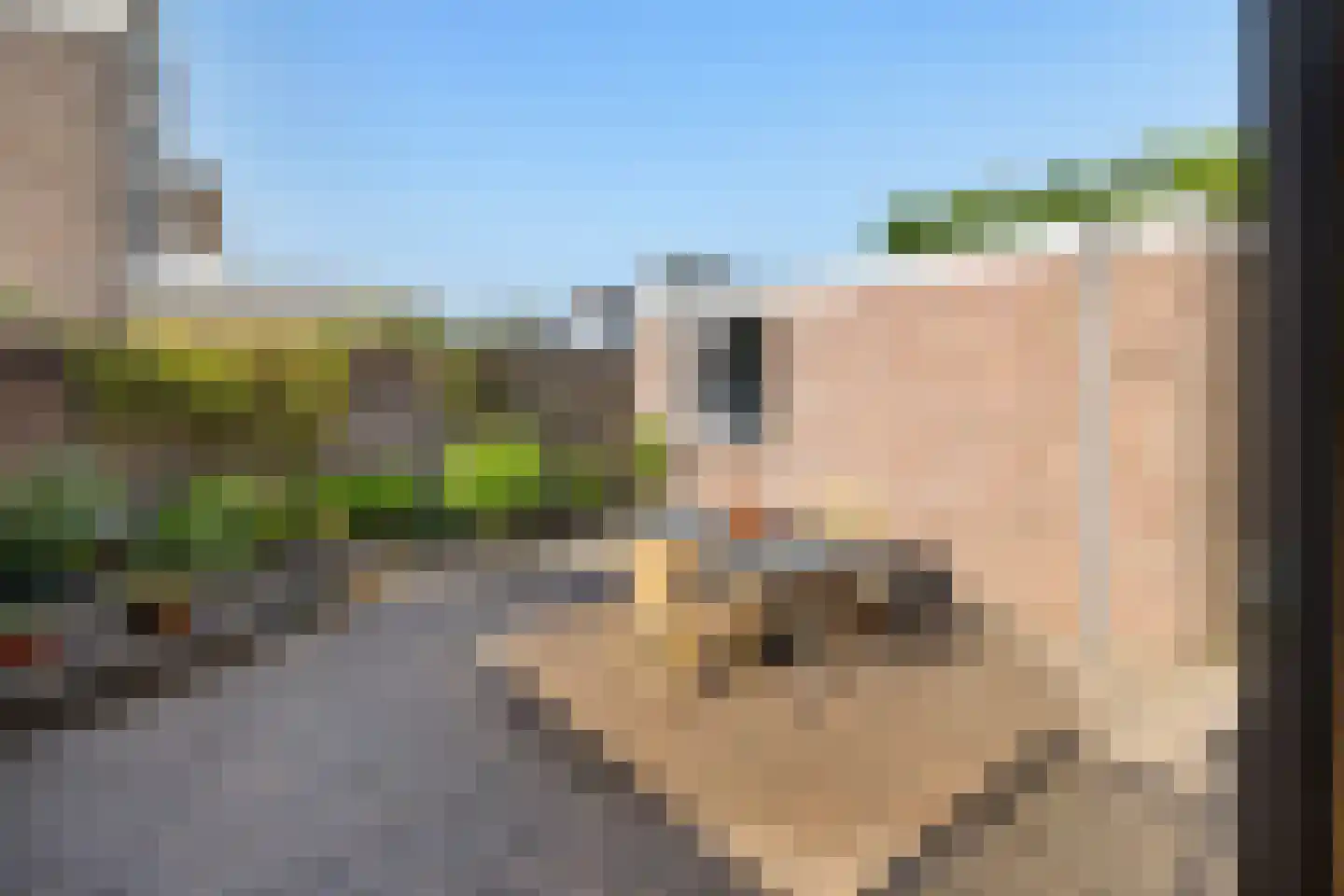 Rooseveltstraat 12 Oss thumbnail 40