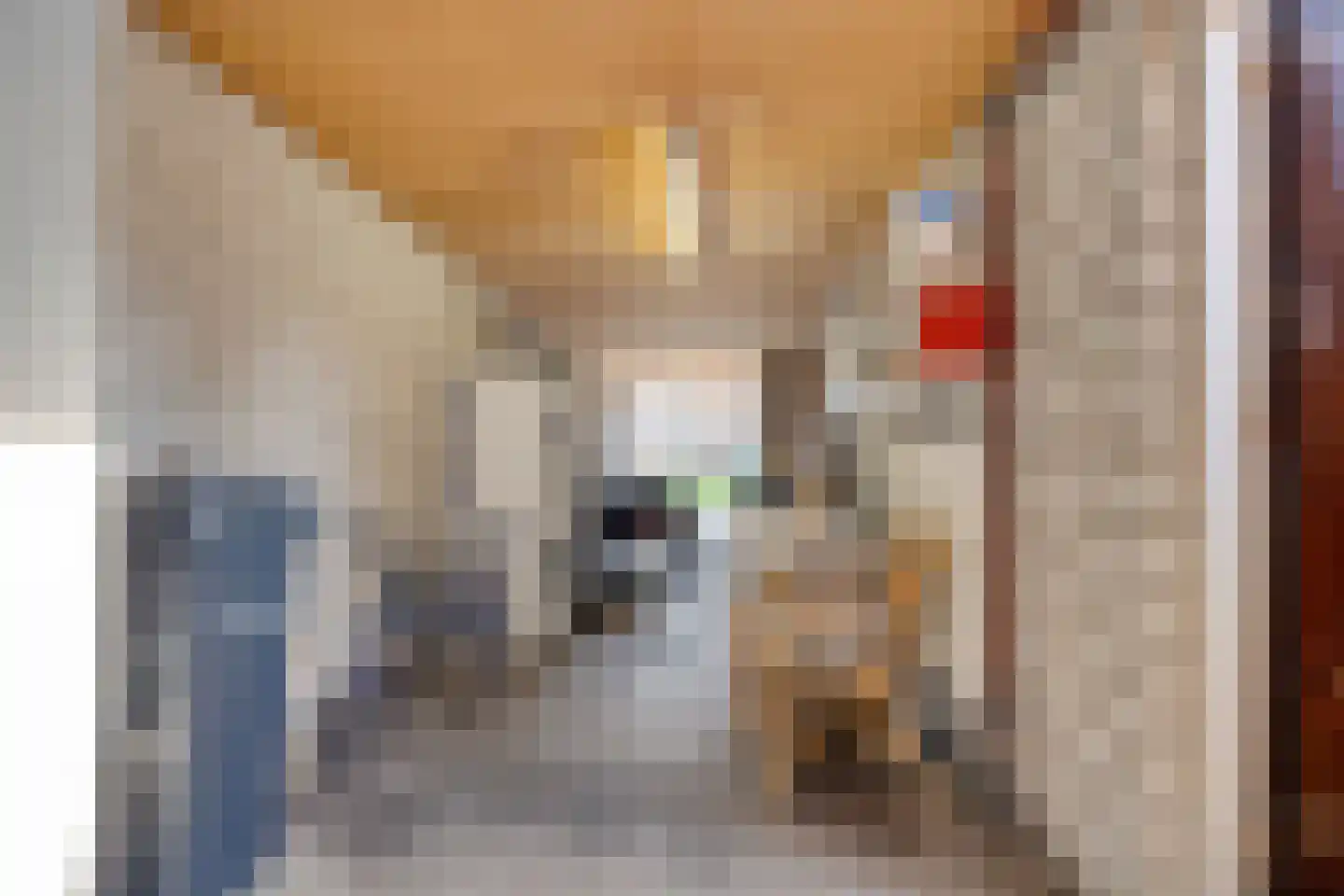 Rooseveltstraat 12 Oss thumbnail 49
