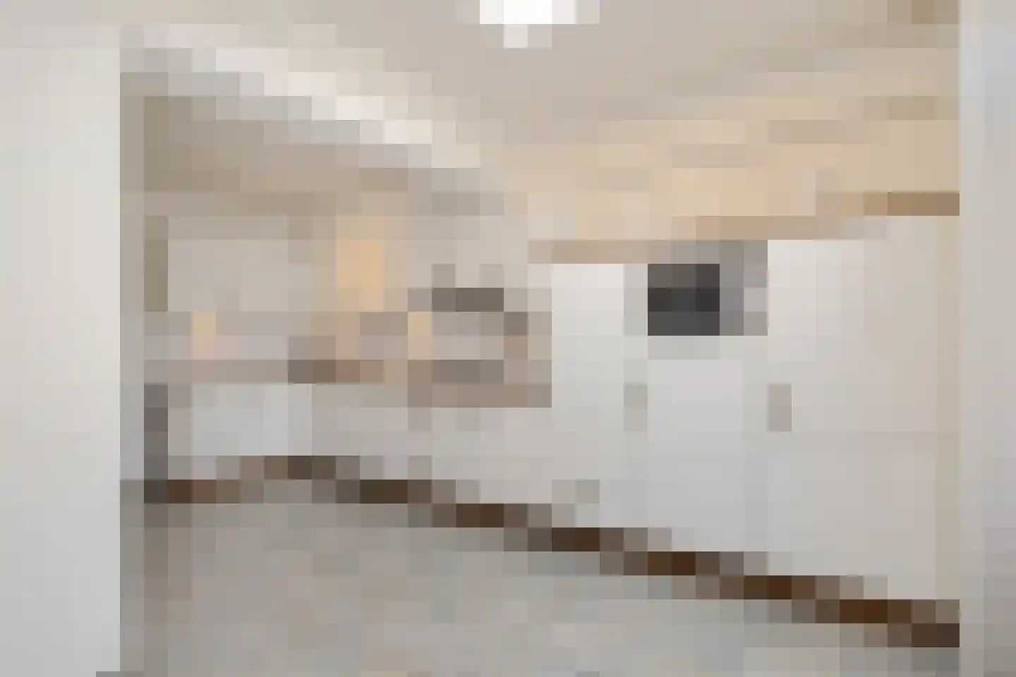 Rooseveltstraat 12 Oss thumbnail 5