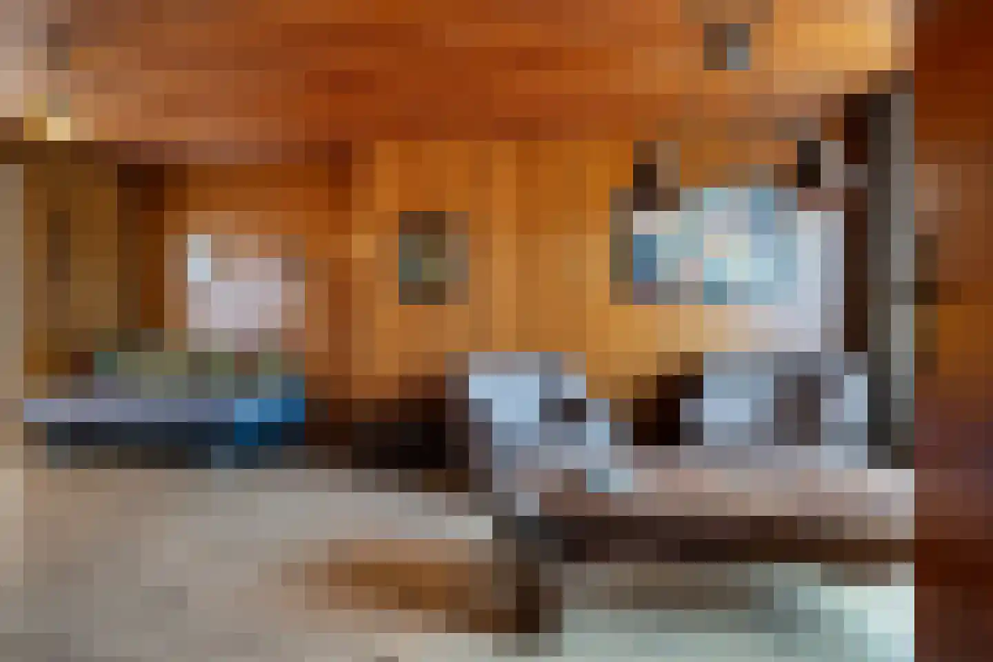Rooseveltstraat 12 Oss thumbnail 8