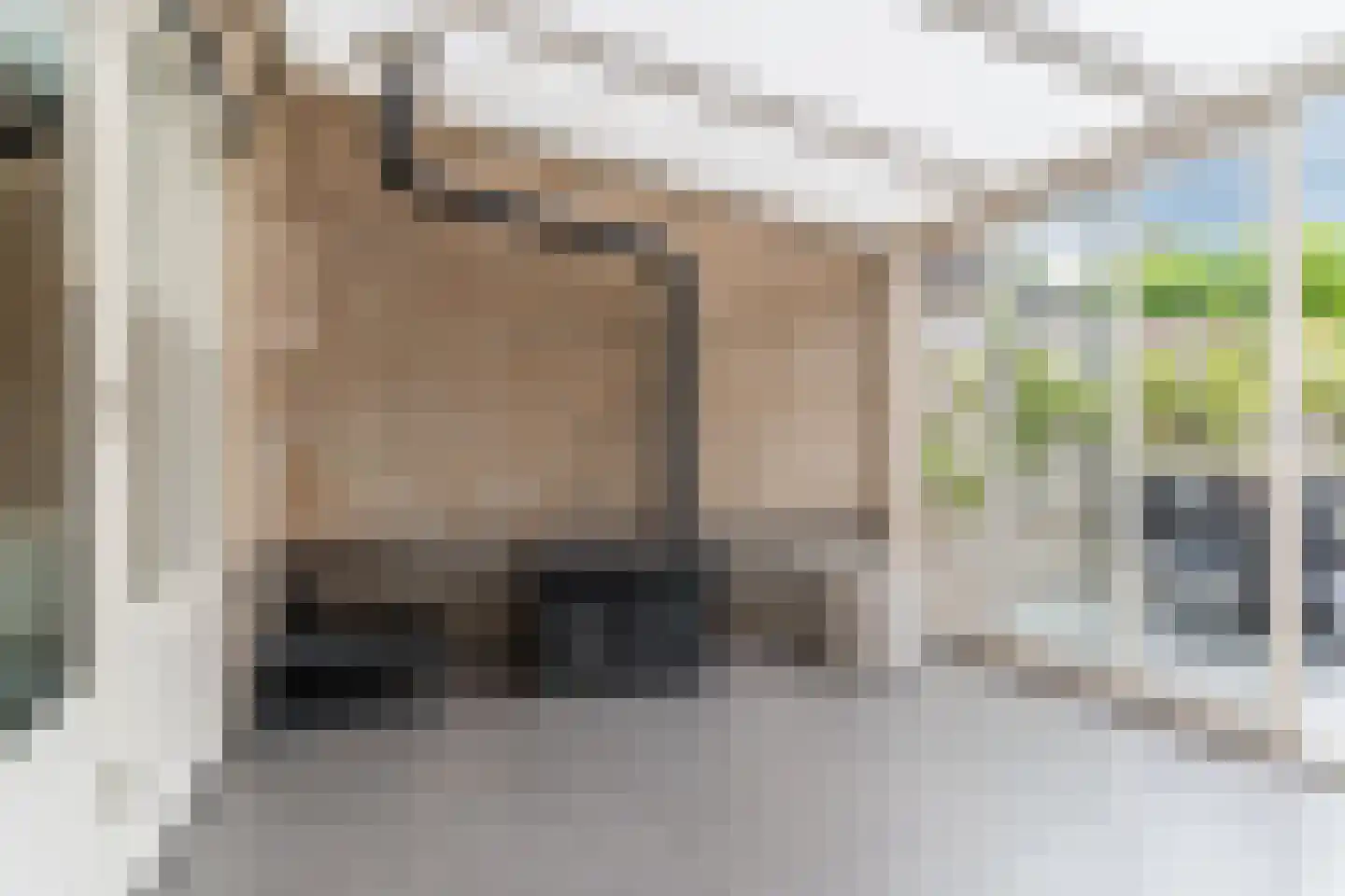 Rooseveltstraat 126 Dongen thumbnail 22