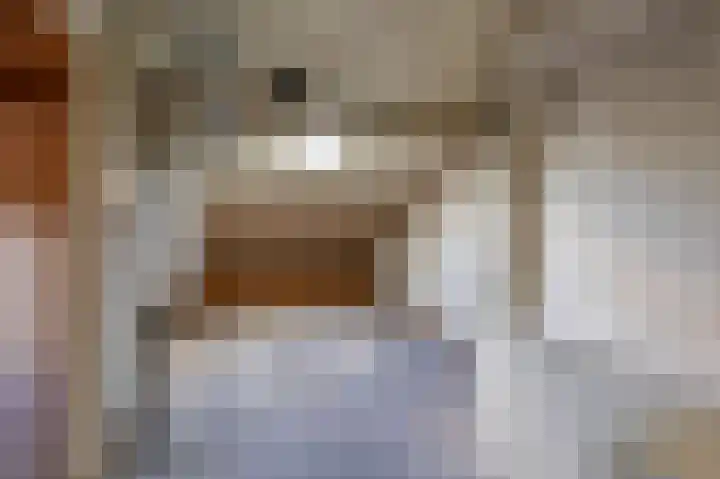 Rooseveltstraat 13 Venray thumbnail 25