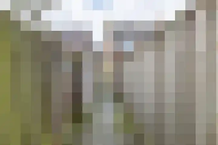 Rooseveltstraat 13 Venray thumbnail 32