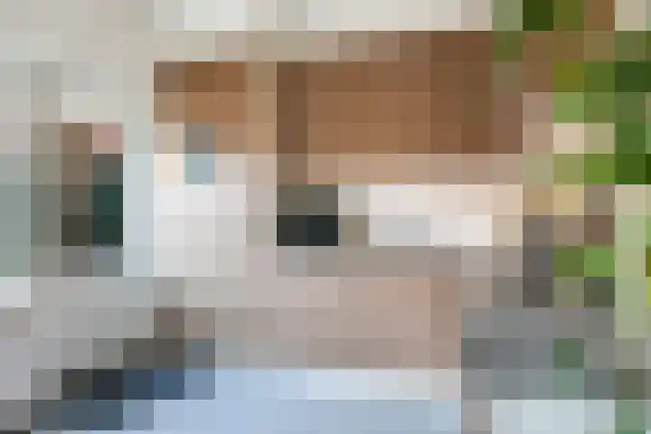 Rooseveltstraat 16 Huissen thumbnail 22