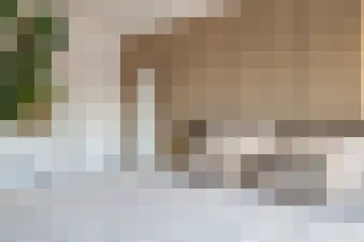 Rooseveltstraat 16 Huissen thumbnail 34