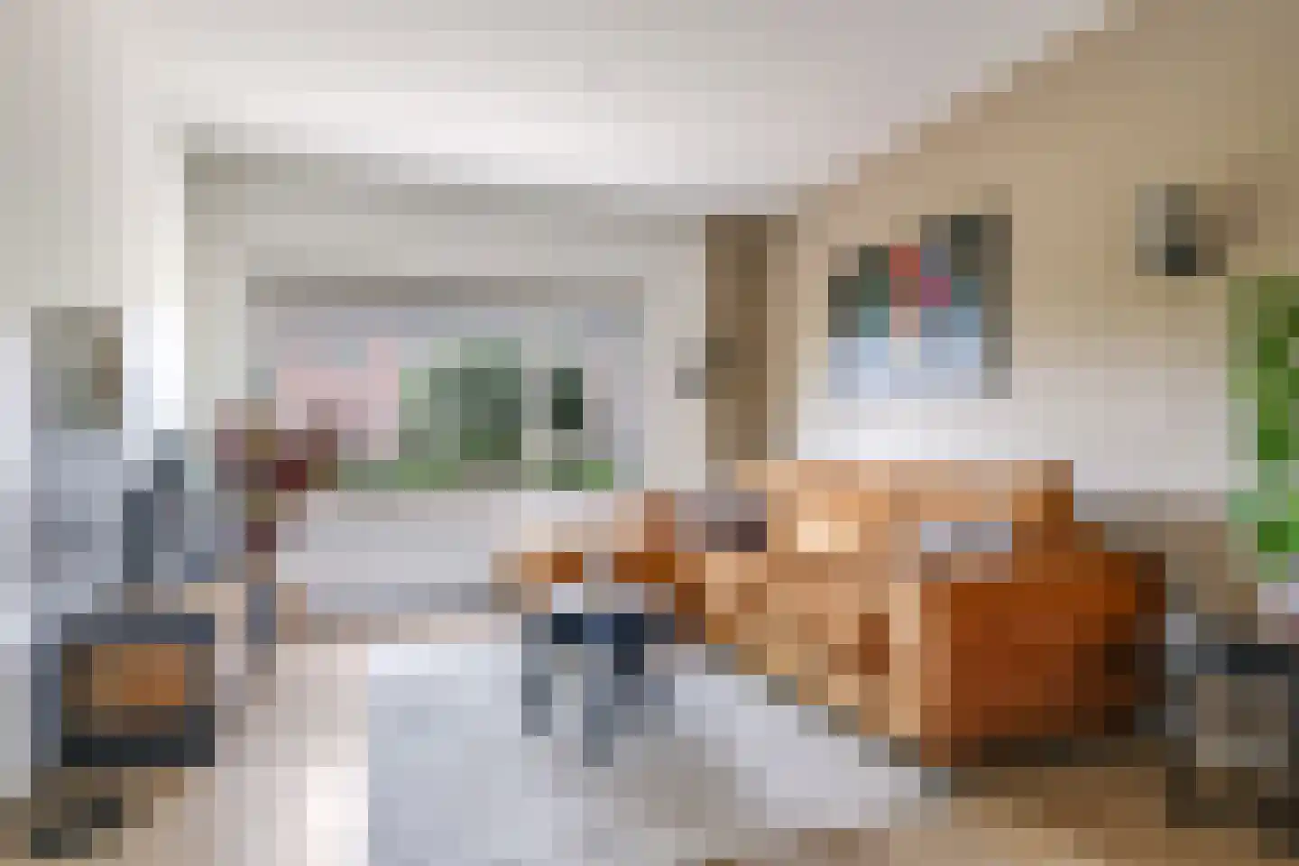 Rooseveltstraat 18 Huissen thumbnail 13