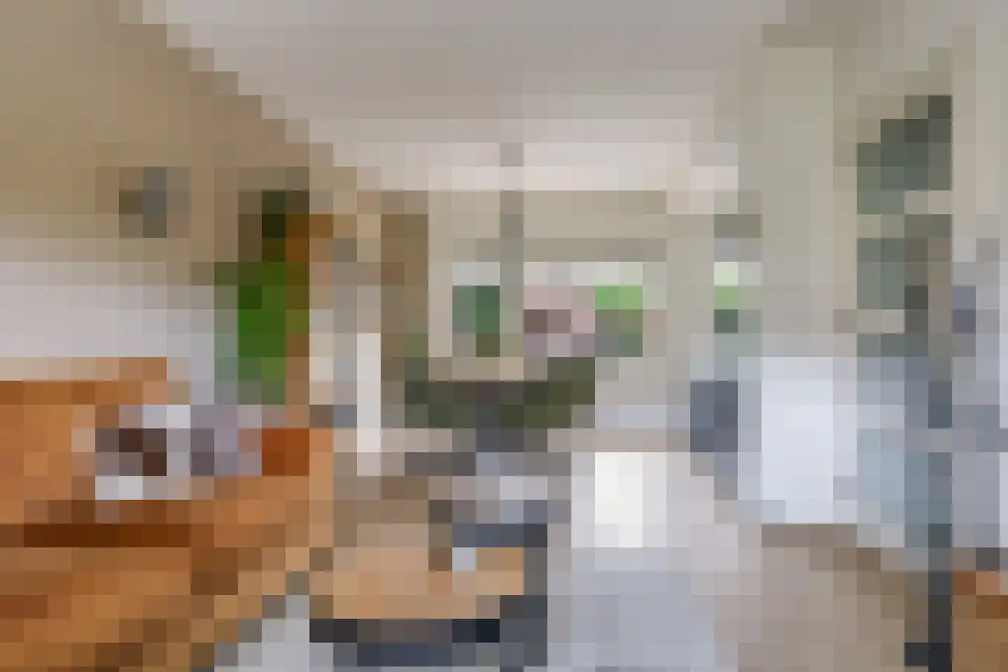 Rooseveltstraat 18 Huissen thumbnail 15
