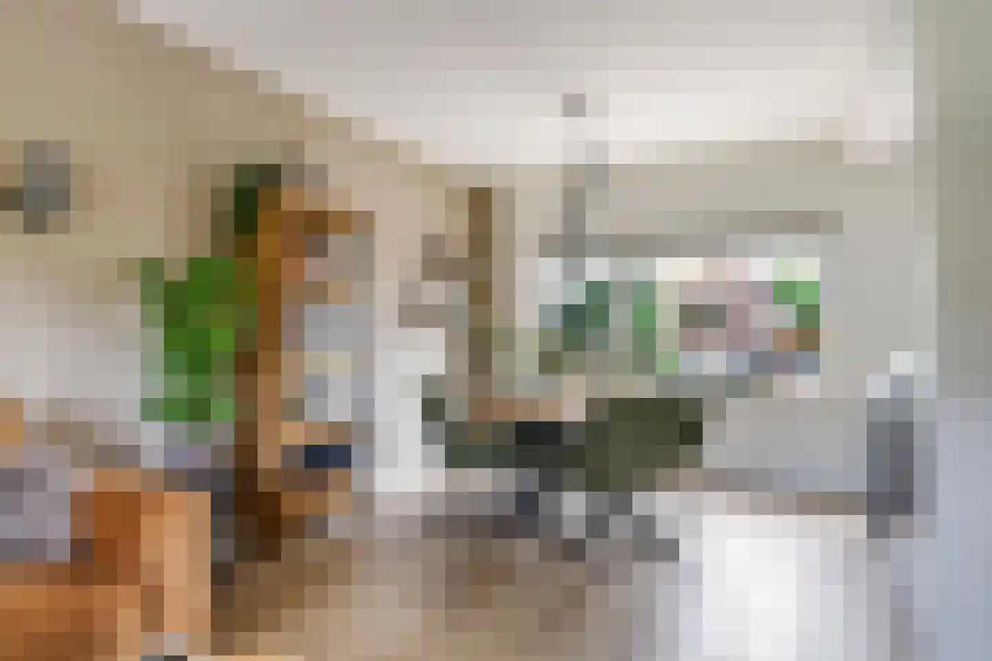 Rooseveltstraat 18 Huissen thumbnail 16