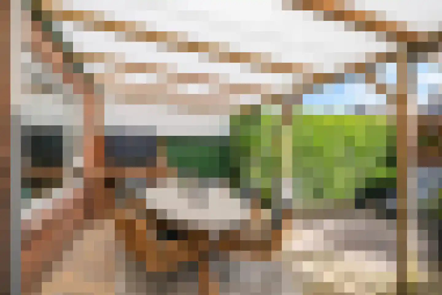 Rooseveltstraat 18 Huissen thumbnail 29