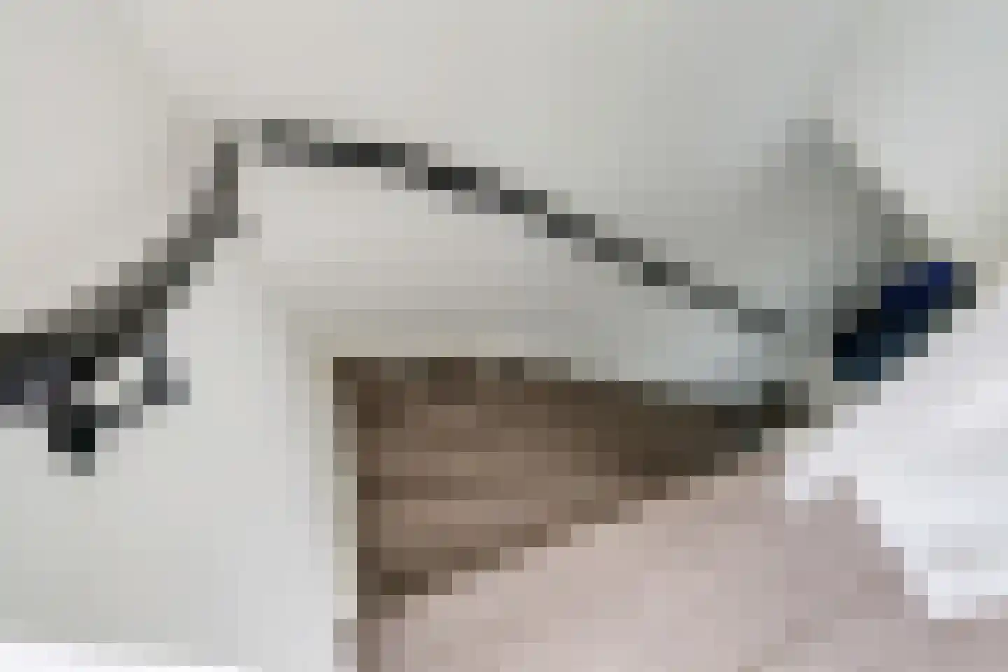 Rooseveltstraat 18 Huissen thumbnail 36