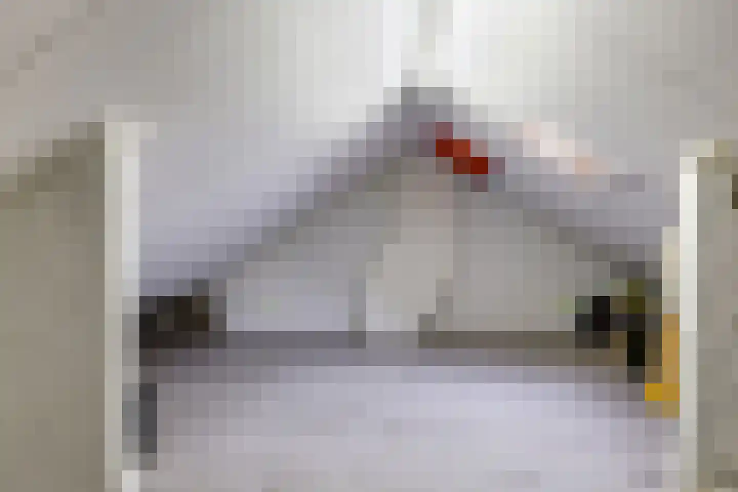 Rooseveltstraat 18 Huissen thumbnail 46