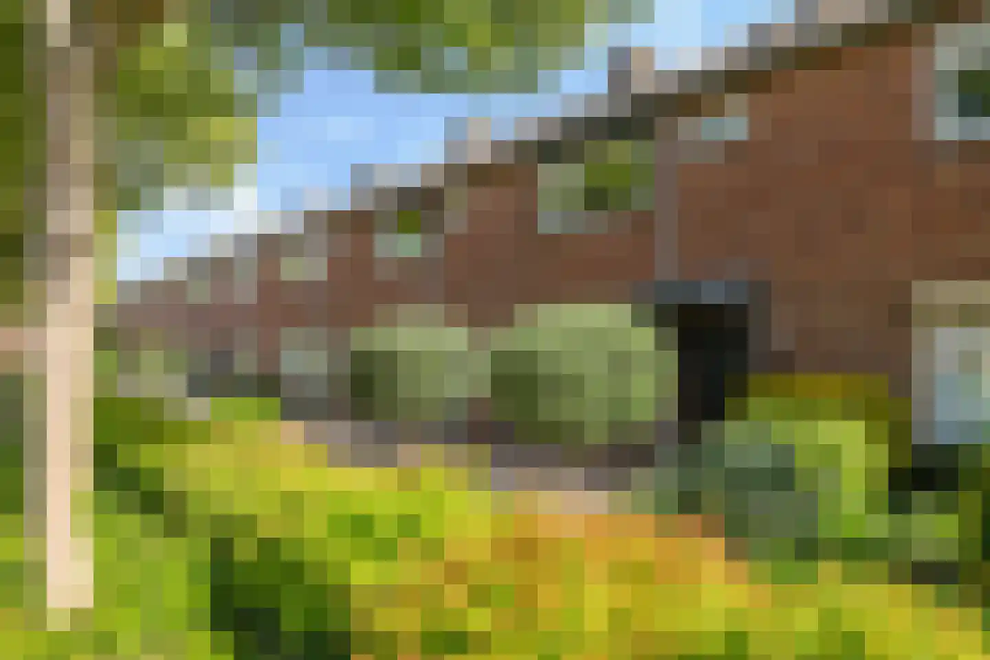 Rooseveltstraat 18 Huissen thumbnail 6