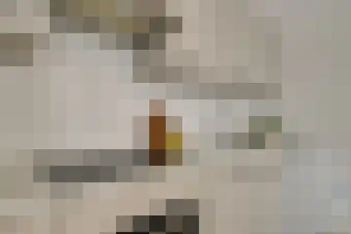 Rooseveltstraat 2 L Leiden thumbnail 8