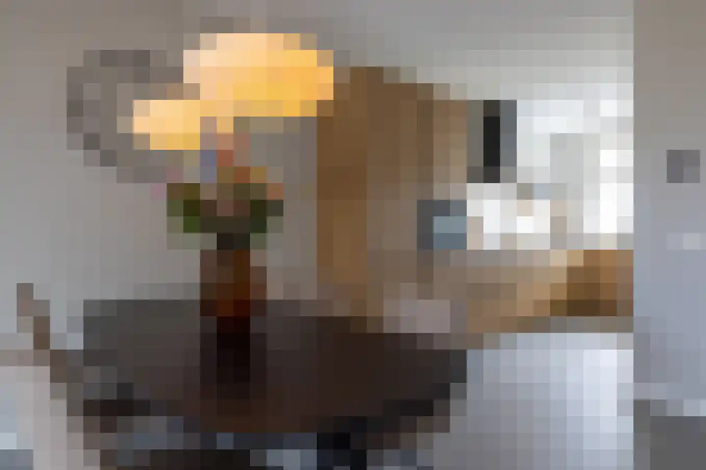 Rooseveltstraat 24 Bergschenhoek thumbnail 10