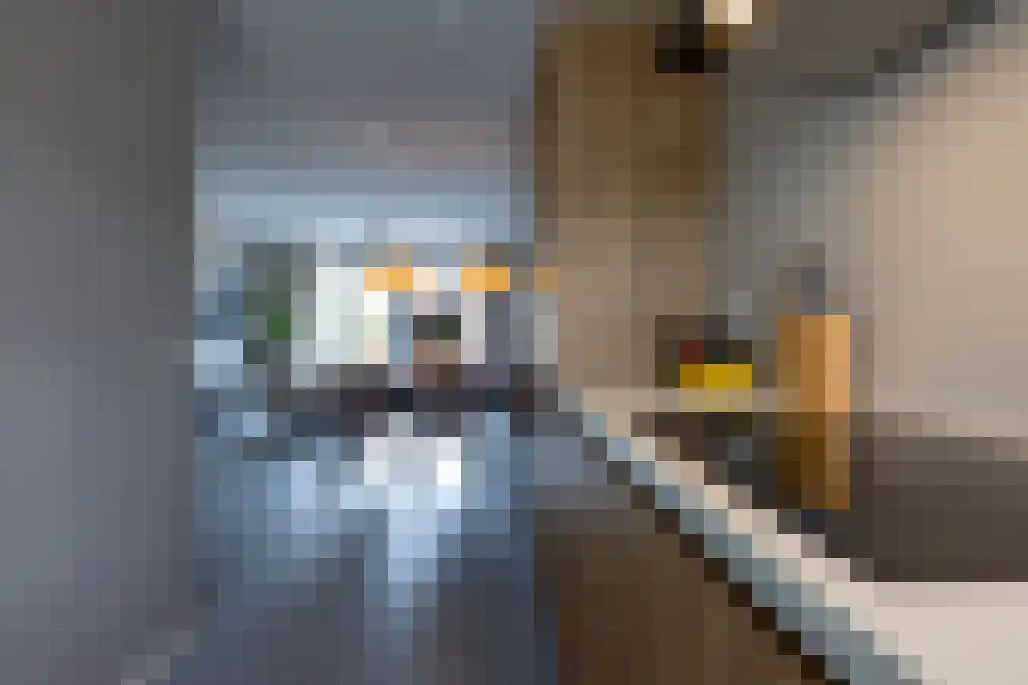 Rooseveltstraat 24 Bergschenhoek thumbnail 13