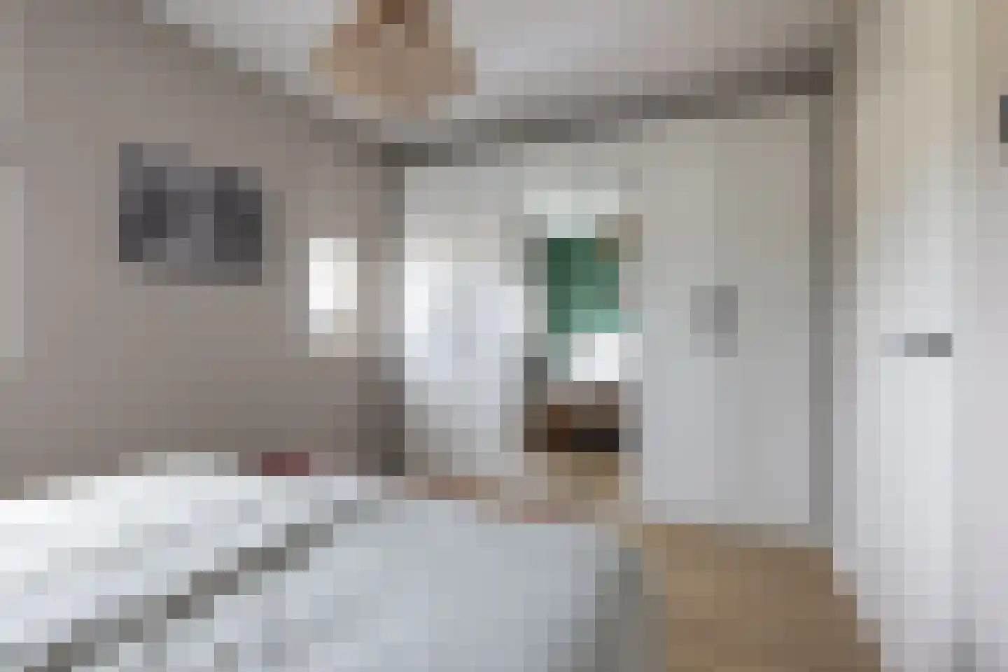 Rooseveltstraat 24 Bergschenhoek thumbnail 15