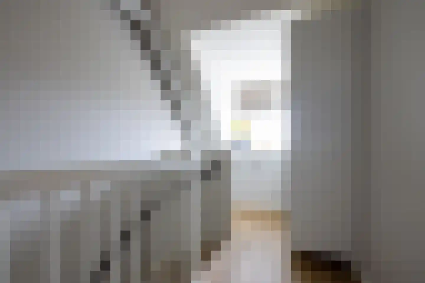 Rooseveltstraat 24 Bergschenhoek thumbnail 24