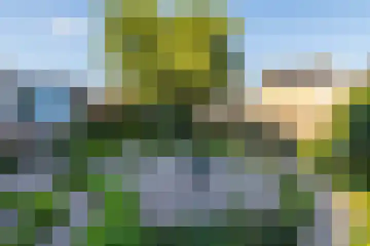 Rooseveltstraat 3 Urmond thumbnail 16