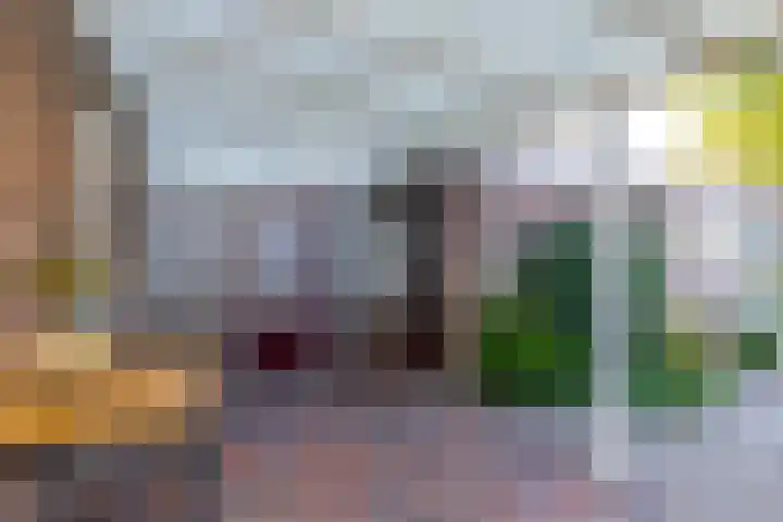 Rooseveltstraat 3 Urmond thumbnail 21