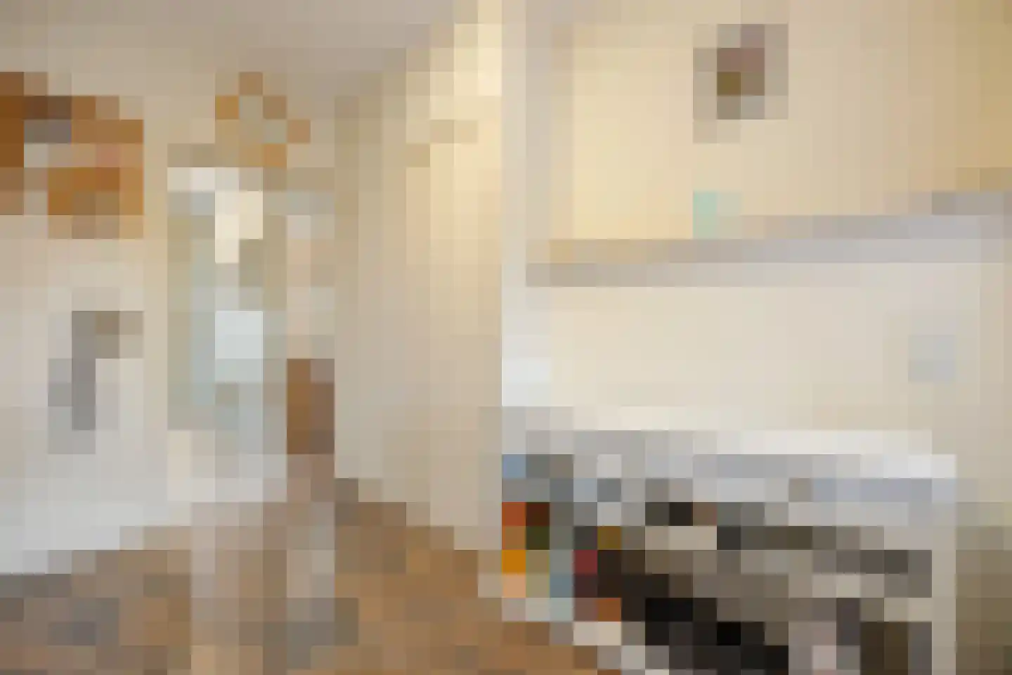 Rooseveltstraat 32 Huissen thumbnail 15