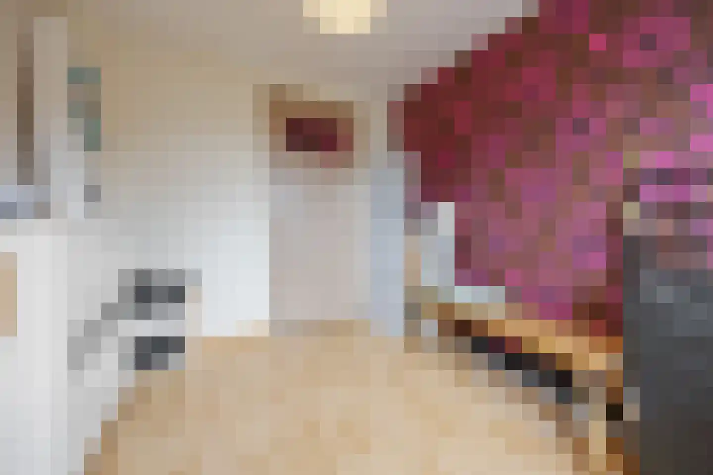 Rooseveltstraat 32 Huissen thumbnail 30