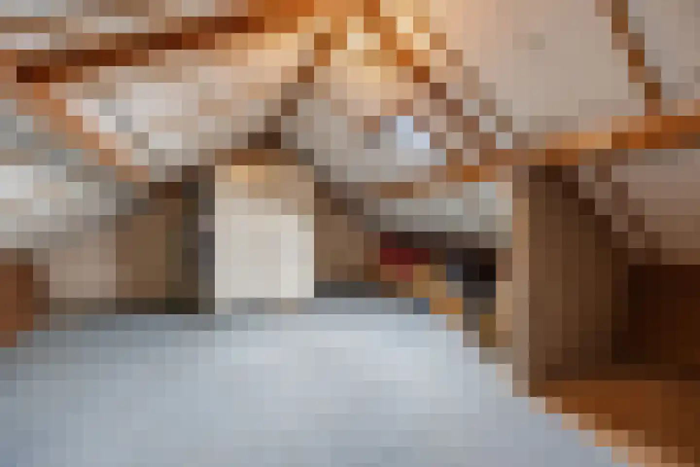 Rooseveltstraat 32 Huissen thumbnail 31