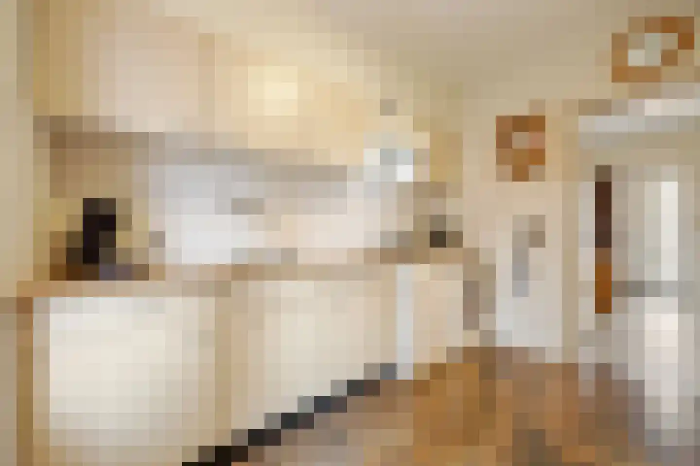 Rooseveltstraat 32 Huissen thumbnail 4
