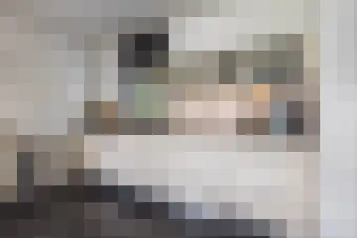 Rooseveltstraat 39 Dongen thumbnail 20