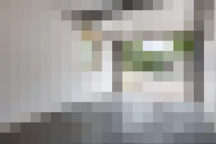 Rooseveltstraat 39 Dongen thumbnail 24