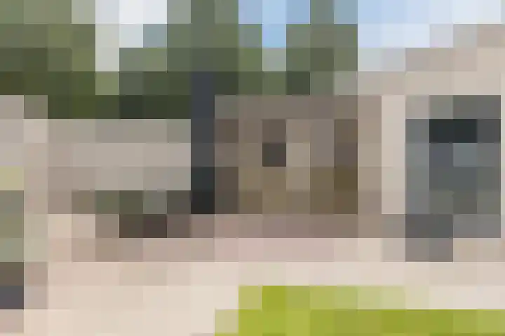 Rooseveltstraat 39 Dongen thumbnail 29