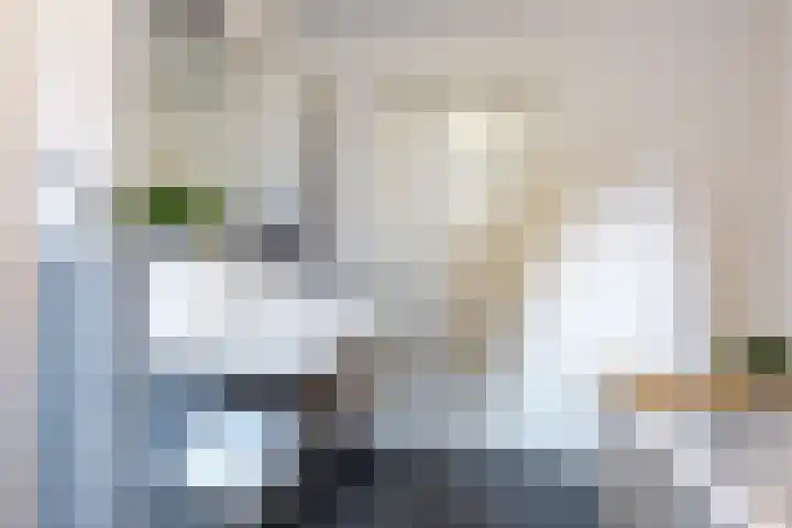 Rooseveltstraat 39 Dongen thumbnail 41