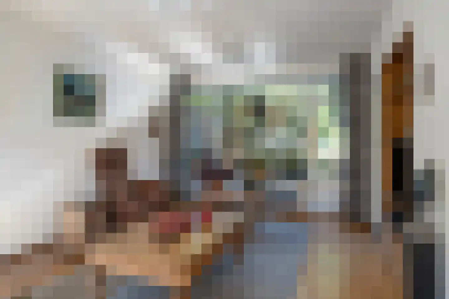 Rooseveltstraat 47 Schimmert thumbnail 10