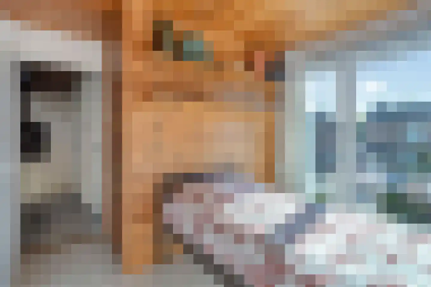 Rooseveltstraat 47 Schimmert thumbnail 25