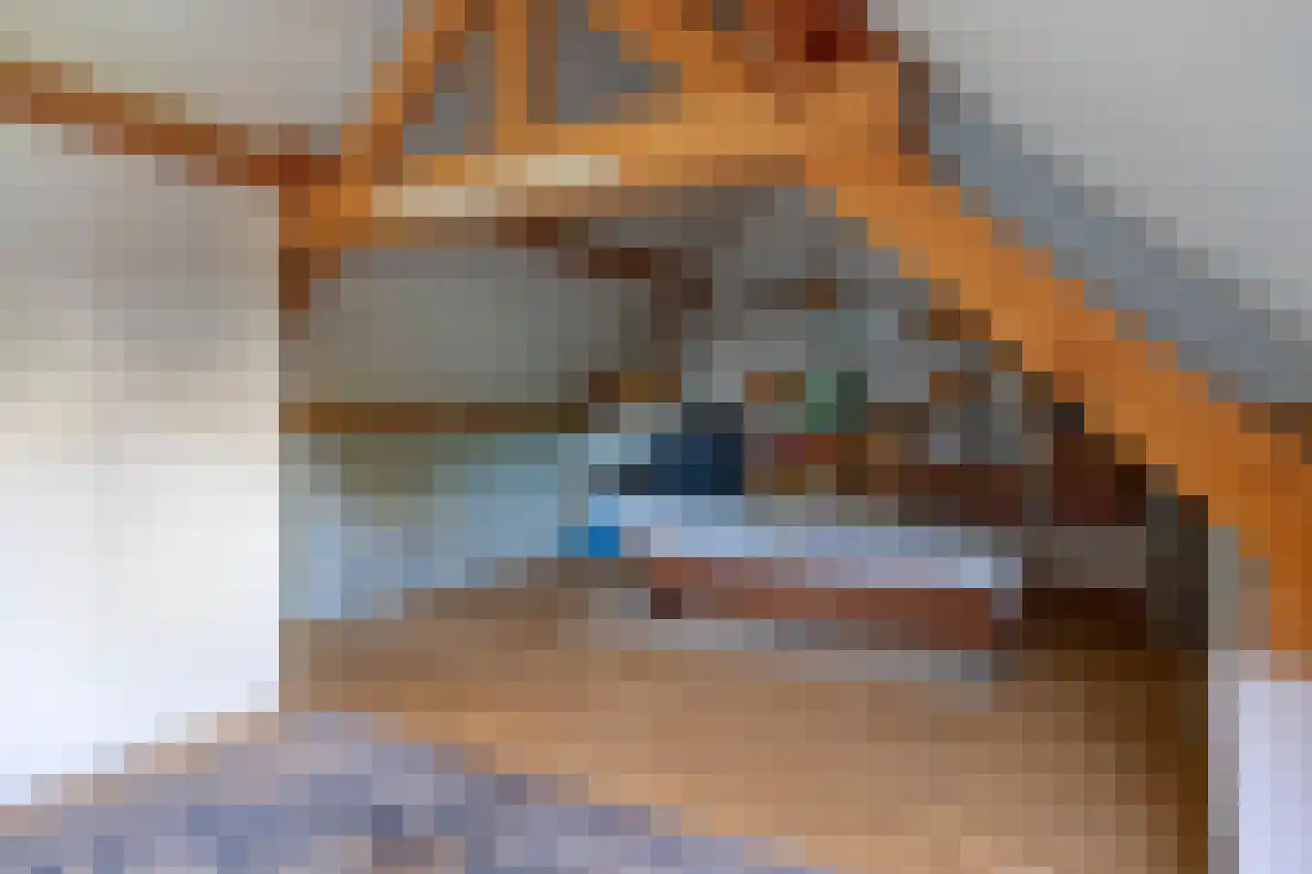 Rooseveltstraat 47 Schimmert thumbnail 30