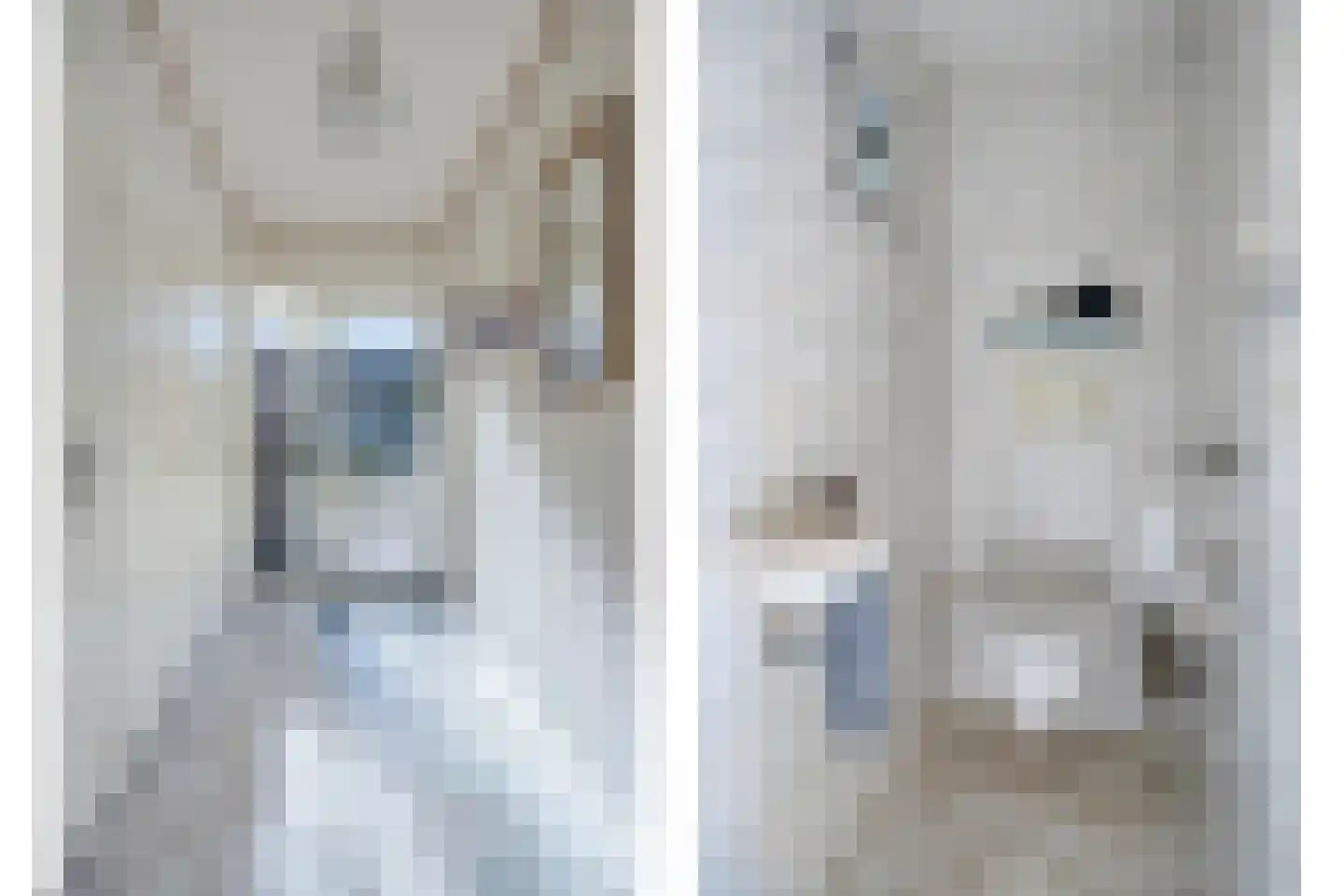 Rooseveltstraat 47 Schimmert thumbnail 7