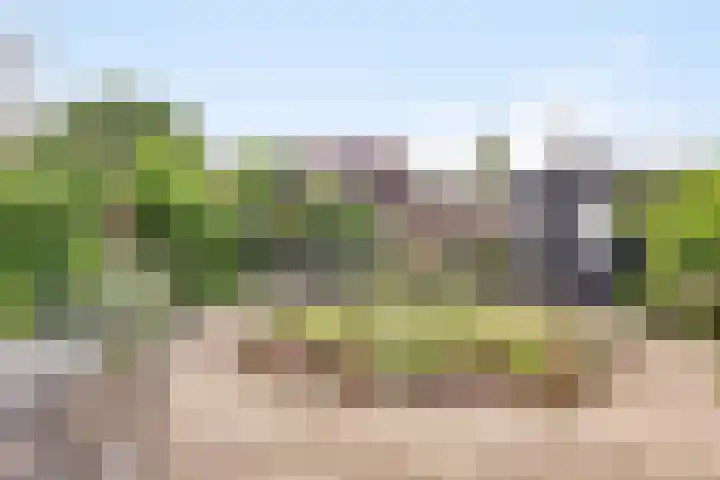 Rooseveltstraat 48 Drunen thumbnail 33