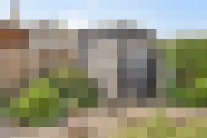 Rooseveltstraat 48 Drunen thumbnail 37