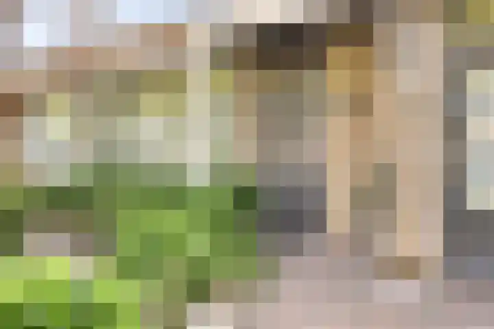 Rooseveltstraat 48 Drunen thumbnail 40