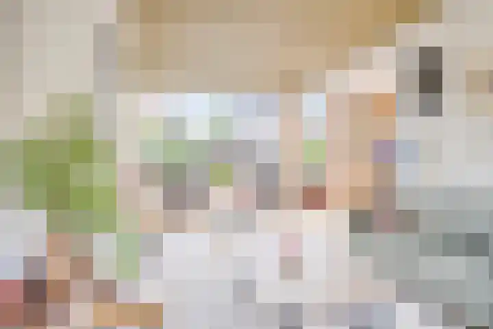 Rooseveltstraat 48 Drunen thumbnail 5
