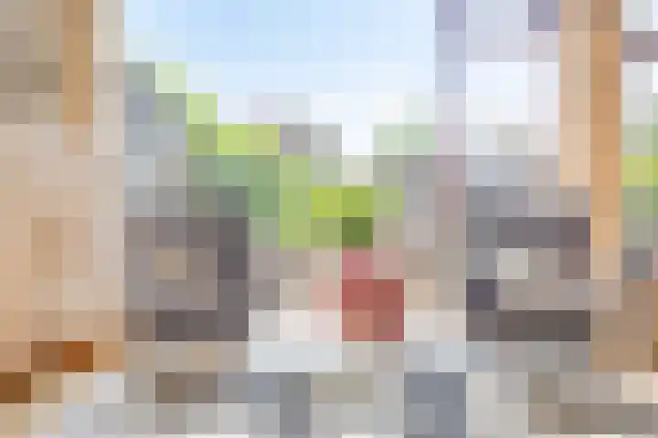 Rooseveltstraat 48 Drunen thumbnail 6