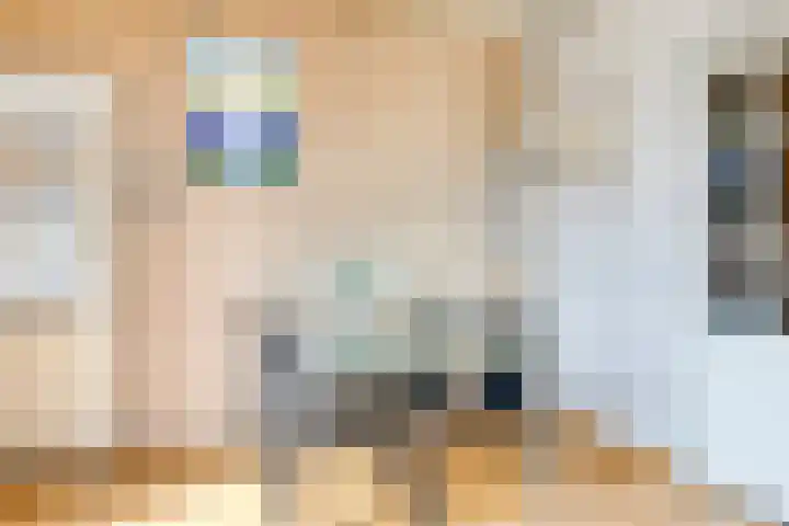 Rooseveltstraat 48 Drunen thumbnail 8