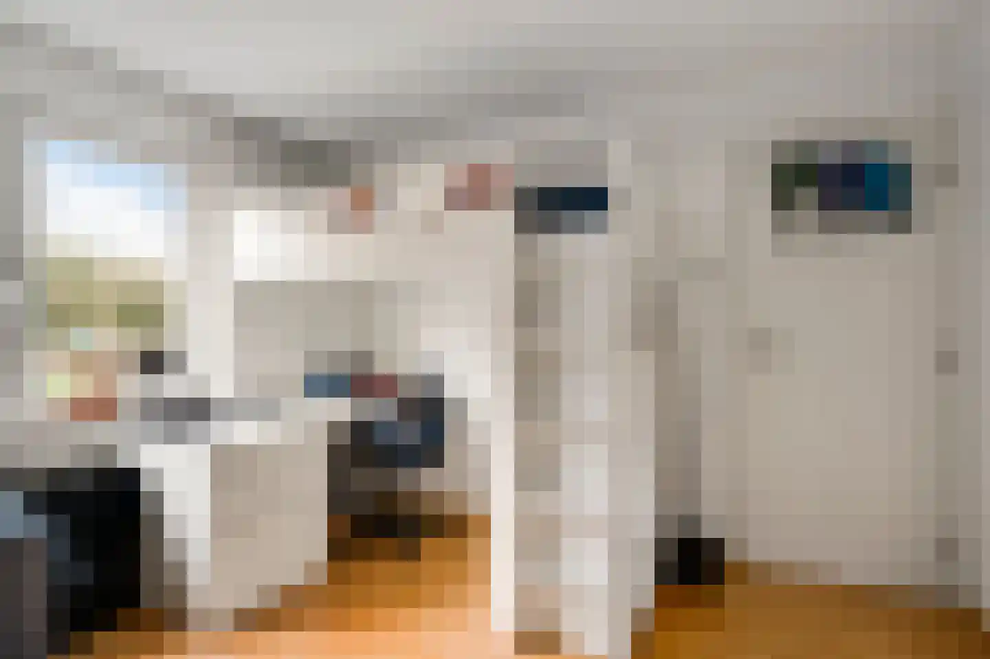 Rooseveltstraat 49 Schimmert thumbnail 30