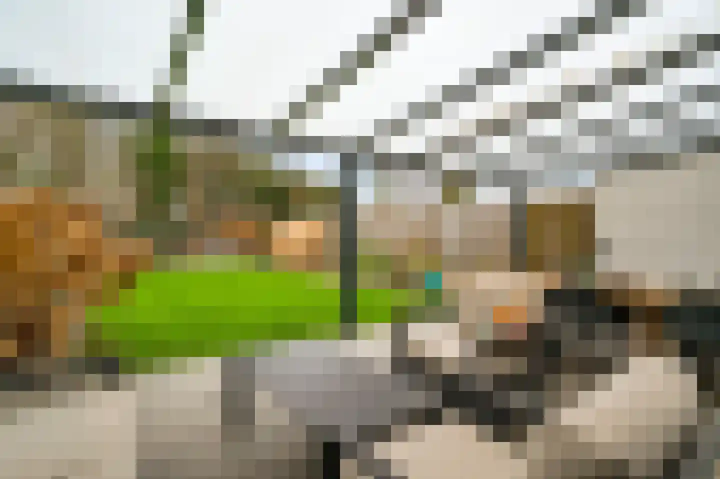 Rooseveltstraat 49 Schimmert thumbnail 4