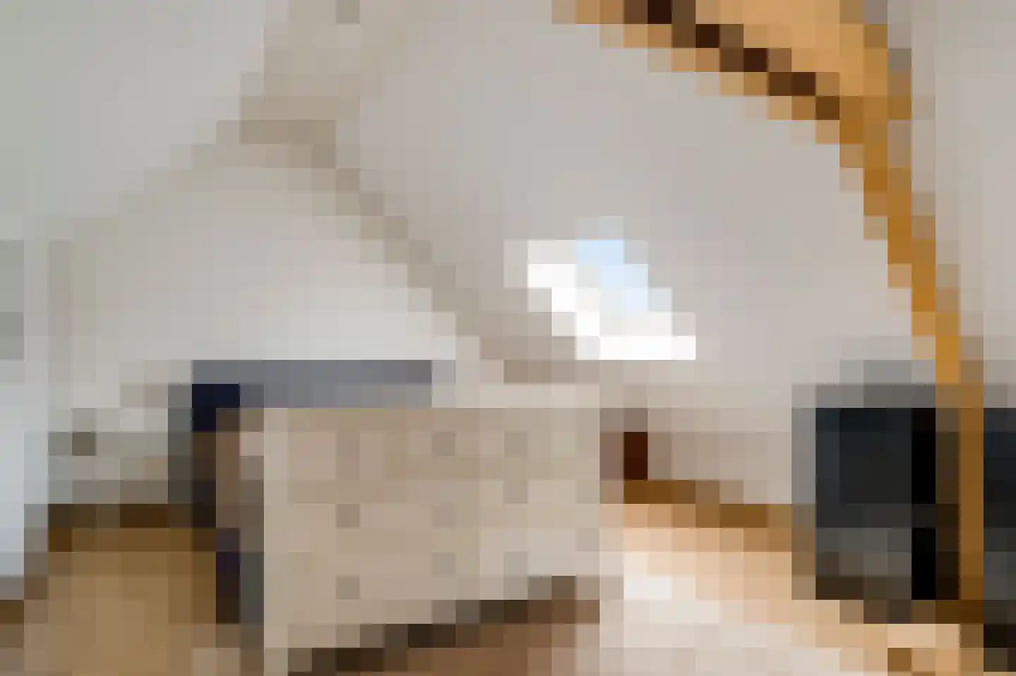Rooseveltstraat 49 Schimmert thumbnail 41
