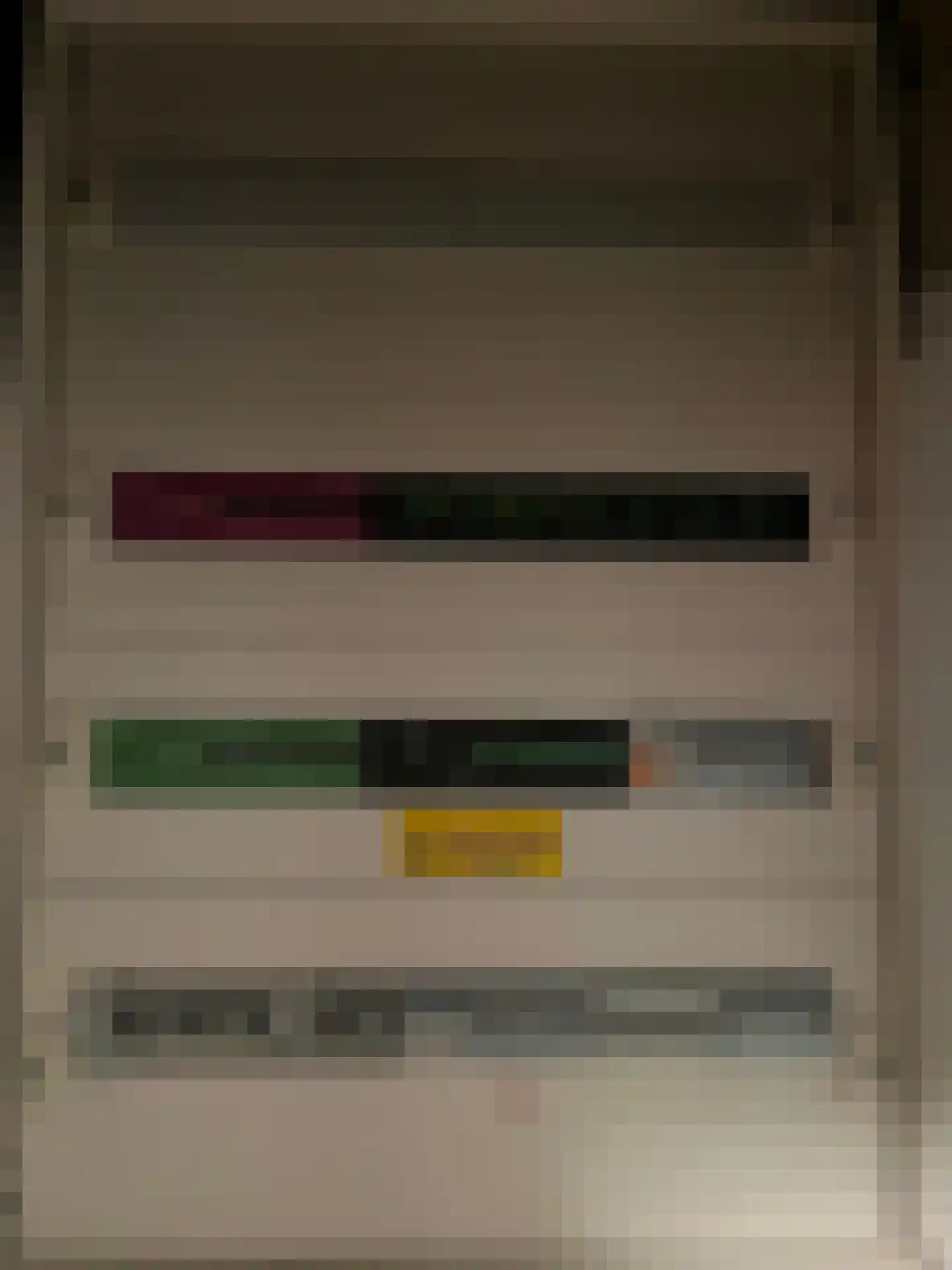 Rooseveltstraat 49 Schimmert thumbnail 46