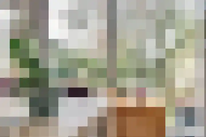 Rooseveltstraat 54 Drunen thumbnail 10