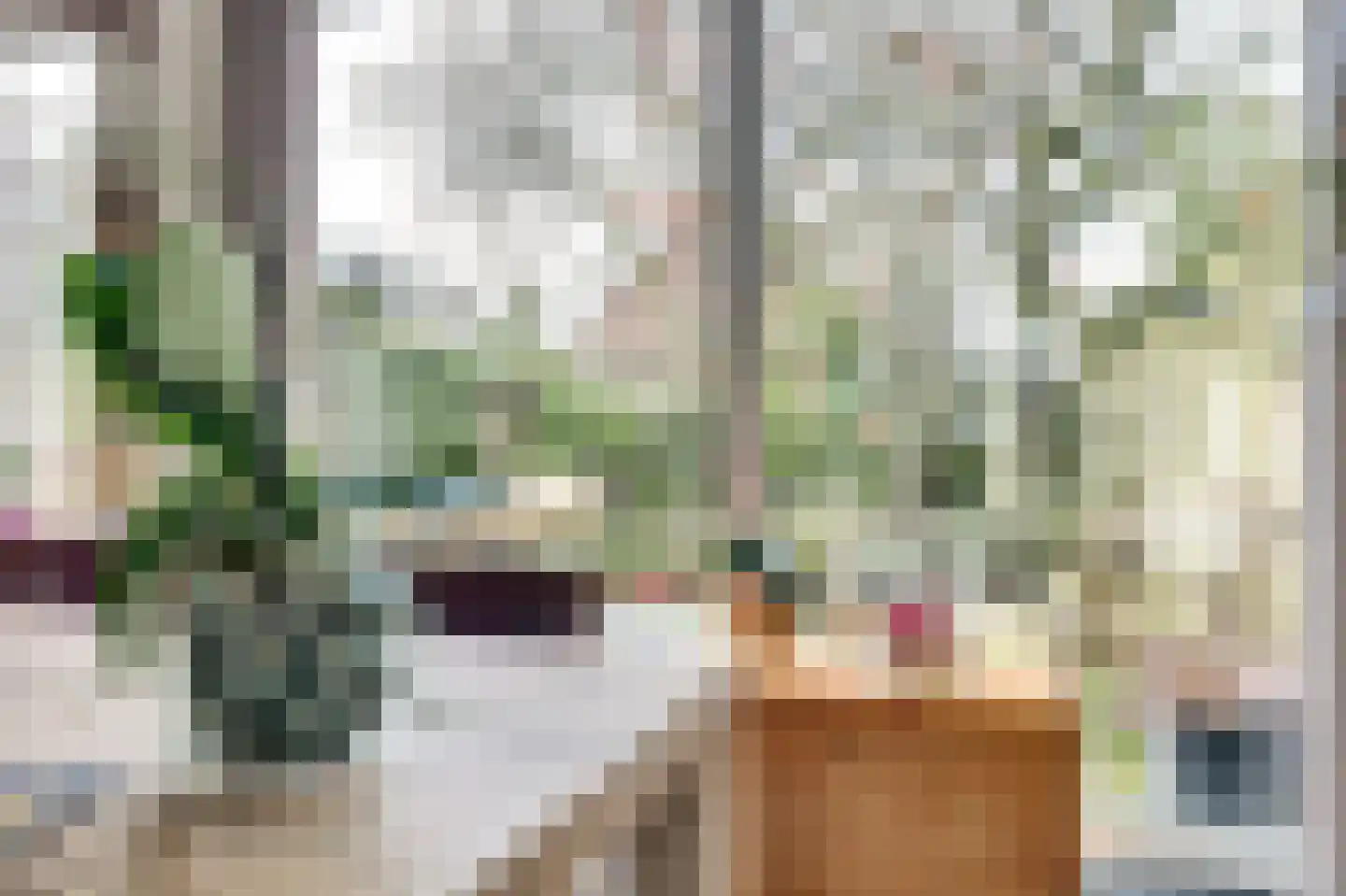 Rooseveltstraat 54 Drunen thumbnail 10