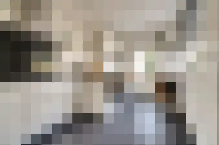 Rooseveltstraat 54 Drunen thumbnail 11