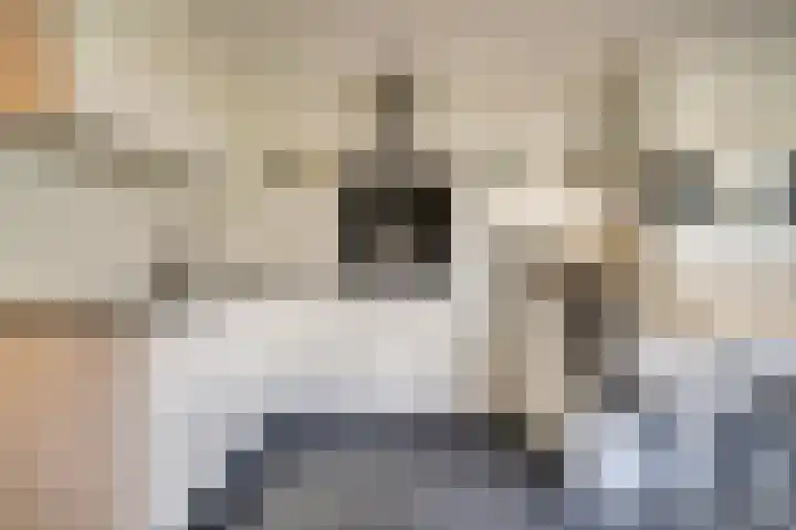 Rooseveltstraat 54 Drunen thumbnail 12